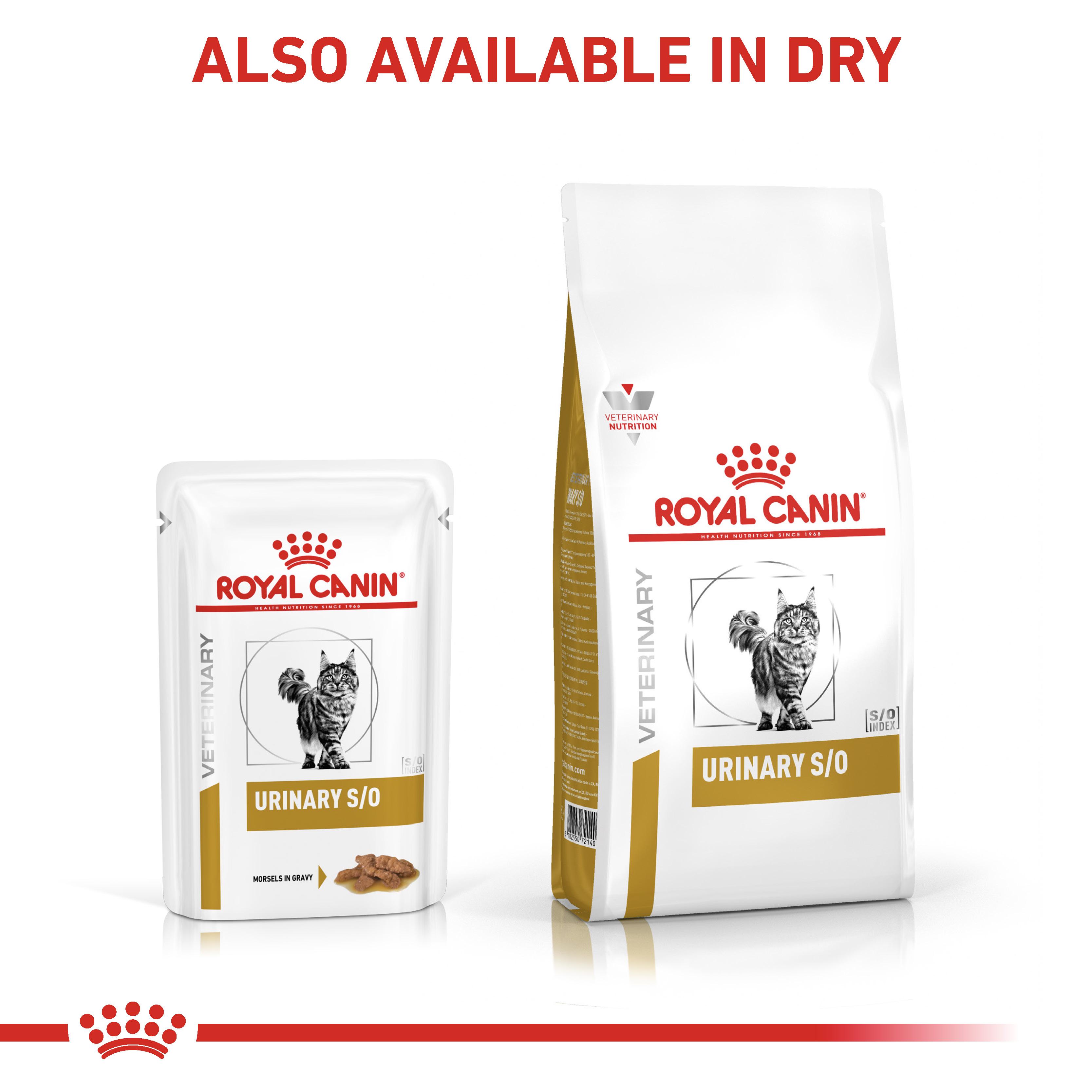 Royal canin so clearance morsels in gravy